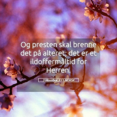 Picture 05 - 3 Mosebok 3:11 NORSK - Og presten skal brenne det på alteret; det er et - Bible Verse Picture