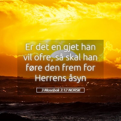 Picture 05 - 3 Mosebok 3:12 NORSK - Er det en gjet han vil ofre, så skal han føre - Bible Verse Picture