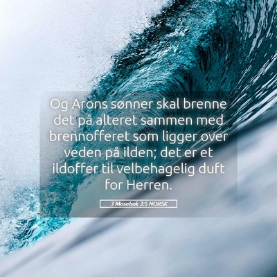 Picture 05 - 3 Mosebok 3:5 NORSK - Og Arons sønner skal brenne det på alteret - Bible Verse Picture