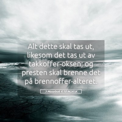 Picture 05 - 3 Mosebok 4:10 NORSK - Alt dette skal tas ut, likesom det tas ut av - Bible Verse Picture