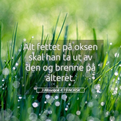 Picture 05 - 3 Mosebok 4:19 NORSK - Alt fettet på oksen skal han ta ut av den og - Bible Verse Picture