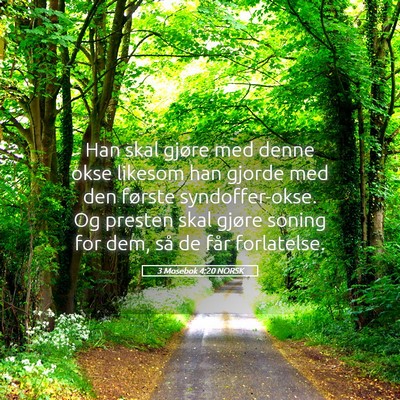 Picture 05 - 3 Mosebok 4:20 NORSK - Han skal gjøre med denne okse likesom han gjorde - Bible Verse Picture