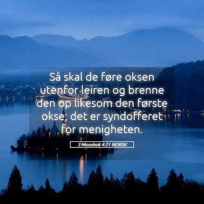 Picture 05 - 3 Mosebok 4:21 NORSK - Så skal de føre oksen utenfor leiren og brenne - Bible Verse Picture