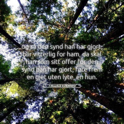 Picture 05 - 3 Mosebok 4:28 NORSK - og så den synd han har gjort, blir vitterlig for - Bible Verse Picture
