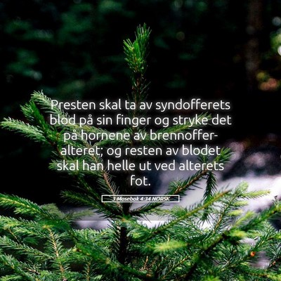 Picture 05 - 3 Mosebok 4:34 NORSK - Presten skal ta av syndofferets blod på sin - Bible Verse Picture