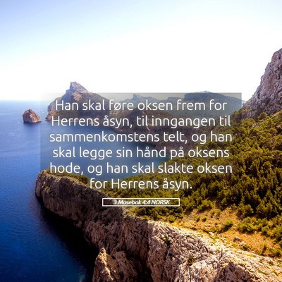 Picture 05 - 3 Mosebok 4:4 NORSK - Han skal føre oksen frem for Herrens åsyn, til - Bible Verse Picture