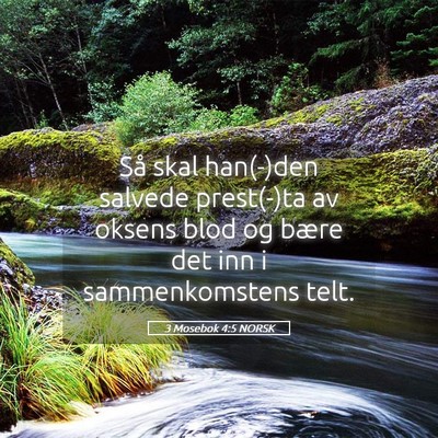 Picture 05 - 3 Mosebok 4:5 NORSK - Så skal han(-)den salvede prest(-)ta av oksens - Bible Verse Picture