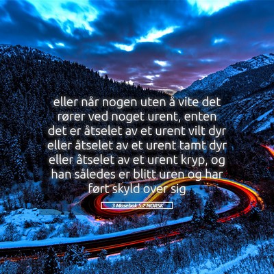 Picture 05 - 3 Mosebok 5:2 NORSK - eller når nogen uten å vite det rører ved - Bible Verse Picture