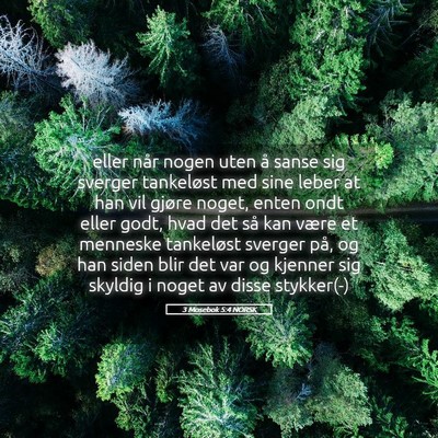 Picture 05 - 3 Mosebok 5:4 NORSK - eller når nogen uten å sanse sig sverger - Bible Verse Picture