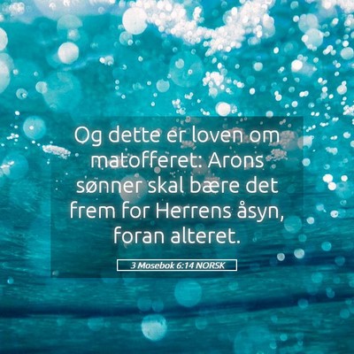 Picture 05 - 3 Mosebok 6:14 NORSK - Og dette er loven om matofferet: Arons sønner - Bible Verse Picture