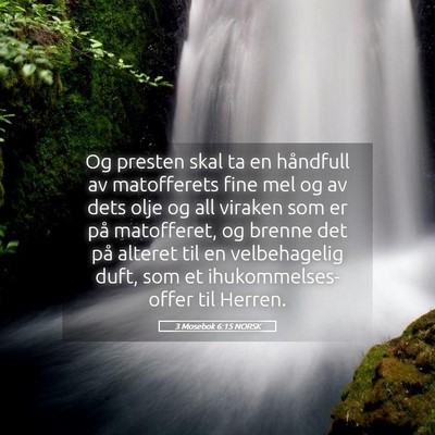 Picture 05 - 3 Mosebok 6:15 NORSK - Og presten skal ta en håndfull av matofferets - Bible Verse Picture