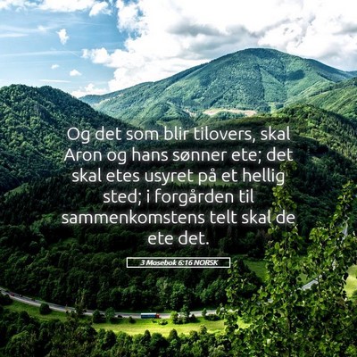 Picture 05 - 3 Mosebok 6:16 NORSK - Og det som blir tilovers, skal Aron og hans - Bible Verse Picture