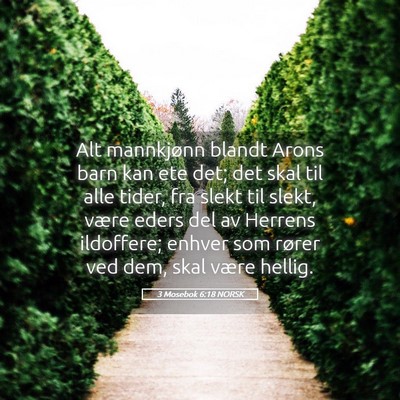 Picture 05 - 3 Mosebok 6:18 NORSK - Alt mannkjønn blandt Arons barn kan ete det; det - Bible Verse Picture