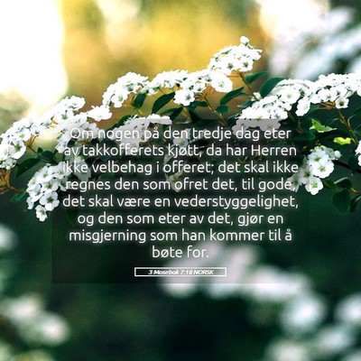 Picture 05 - 3 Mosebok 7:18 NORSK - Om nogen på den tredje dag eter av takkofferets - Bible Verse Picture