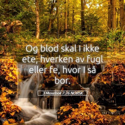 Picture 05 - 3 Mosebok 7:26 NORSK - Og blod skal I ikke ete, hverken av fugl eller - Bible Verse Picture
