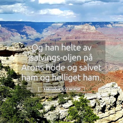 Picture 05 - 3 Mosebok 8:12 NORSK - Og han helte av salvings-oljen på Arons hode og - Bible Verse Picture