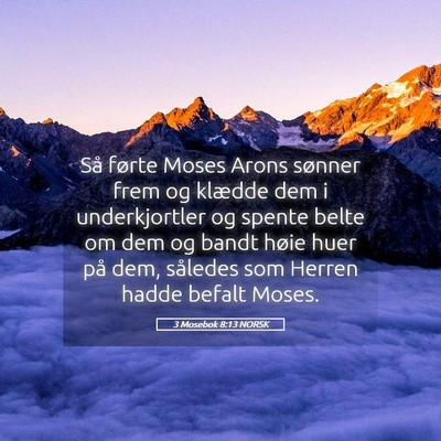 Picture 05 - 3 Mosebok 8:13 NORSK - Så førte Moses Arons sønner frem og klædde - Bible Verse Picture