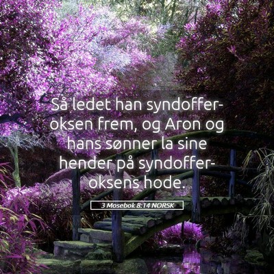 Picture 05 - 3 Mosebok 8:14 NORSK - Så ledet han syndoffer-oksen frem, og Aron og - Bible Verse Picture