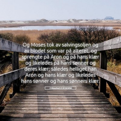Picture 05 - 3 Mosebok 8:30 NORSK - Og Moses tok av salvingsoljen og av blodet som - Bible Verse Picture