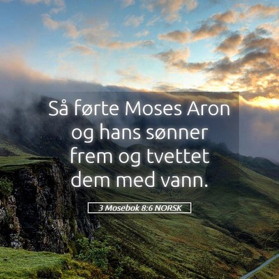 Picture 05 - 3 Mosebok 8:6 NORSK - Så førte Moses Aron og hans sønner frem og - Bible Verse Picture