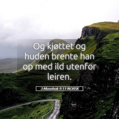 Picture 05 - 3 Mosebok 9:11 NORSK - Og kjøttet og huden brente han op med ild - Bible Verse Picture