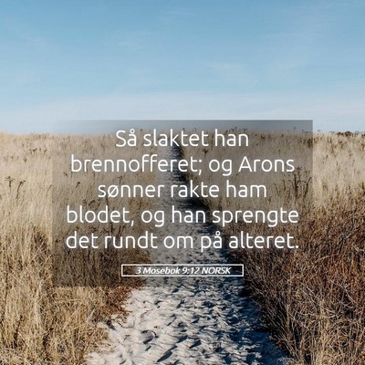 Picture 05 - 3 Mosebok 9:12 NORSK - Så slaktet han brennofferet; og Arons sønner - Bible Verse Picture