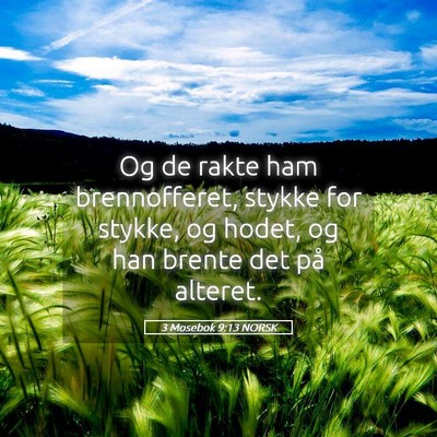 Picture 05 - 3 Mosebok 9:13 NORSK - Og de rakte ham brennofferet, stykke for stykke, - Bible Verse Picture