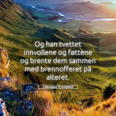 Picture 05 - 3 Mosebok 9:14 NORSK - Og han tvettet innvollene og føttene og brente - Bible Verse Picture