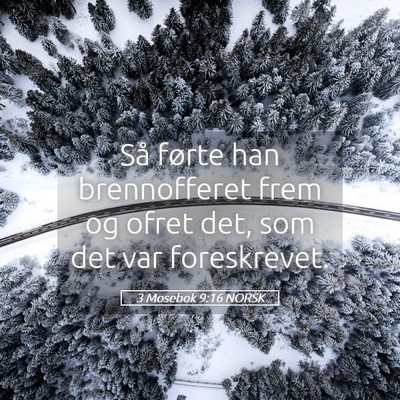 Picture 05 - 3 Mosebok 9:16 NORSK - Så førte han brennofferet frem og ofret det, - Bible Verse Picture