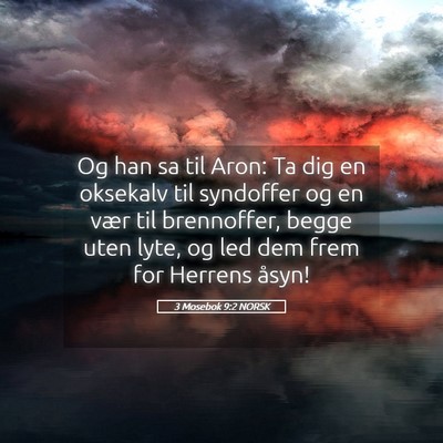 Picture 05 - 3 Mosebok 9:2 NORSK - Og han sa til Aron: Ta dig en oksekalv til - Bible Verse Picture