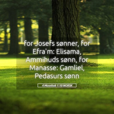 Picture 05 - 4 Mosebok 1:10 NORSK - for Josefs sønner, for Efra'm: Elisama, Ammihuds - Bible Verse Picture