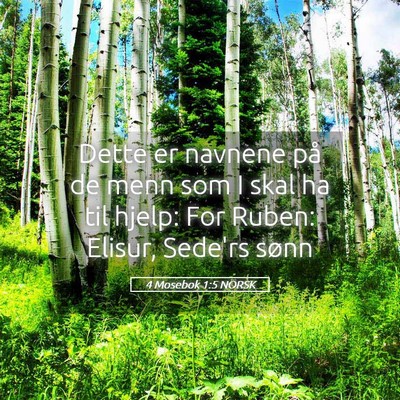 Picture 05 - 4 Mosebok 1:5 NORSK - Dette er navnene på de menn som I skal ha til - Bible Verse Picture