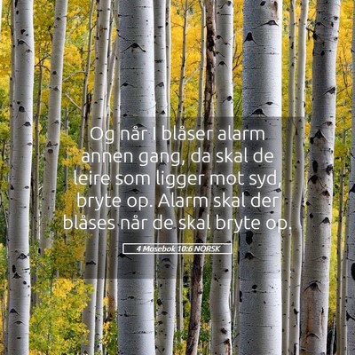 Picture 05 - 4 Mosebok 10:6 NORSK - Og når I blåser alarm annen gang, da skal de - Bible Verse Picture