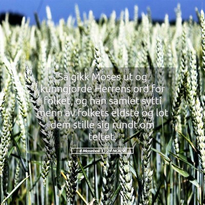 Picture 05 - 4 Mosebok 11:24 NORSK - Så gikk Moses ut og kunngjorde Herrens ord for - Bible Verse Picture