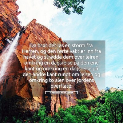 Picture 05 - 4 Mosebok 11:31 NORSK - Da brøt det løs en storm fra Herren, og den - Bible Verse Picture