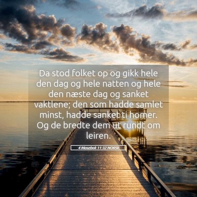 Picture 05 - 4 Mosebok 11:32 NORSK - Da stod folket op og gikk hele den dag og hele - Bible Verse Picture