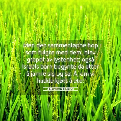Picture 05 - 4 Mosebok 11:4 NORSK - Men den sammenløpne hop som fulgte med dem, blev - Bible Verse Picture