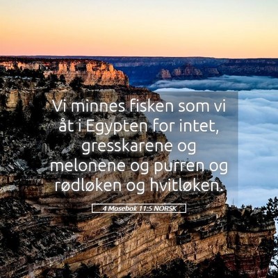 Picture 05 - 4 Mosebok 11:5 NORSK - Vi minnes fisken som vi åt i Egypten for intet, - Bible Verse Picture