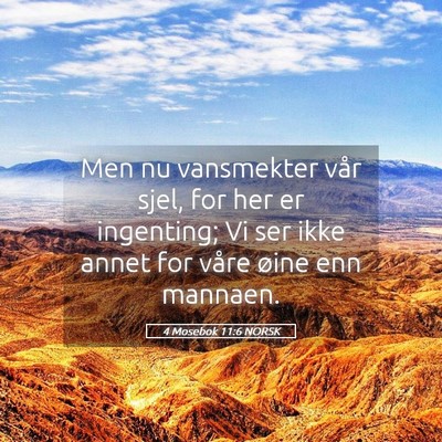 Picture 05 - 4 Mosebok 11:6 NORSK - Men nu vansmekter vår sjel, for her er - Bible Verse Picture