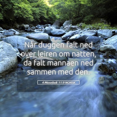 Picture 05 - 4 Mosebok 11:9 NORSK - Når duggen falt ned over leiren om natten, da - Bible Verse Picture