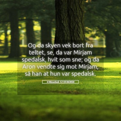 Picture 05 - 4 Mosebok 12:10 NORSK - Og da skyen vek bort fra teltet, se, da var - Bible Verse Picture