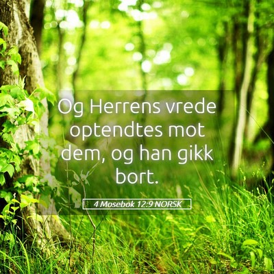 Picture 05 - 4 Mosebok 12:9 NORSK - Og Herrens vrede optendtes mot dem, og han gikk - Bible Verse Picture