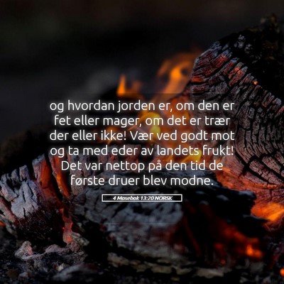 Picture 05 - 4 Mosebok 13:20 NORSK - og hvordan jorden er, om den er fet eller mager, - Bible Verse Picture