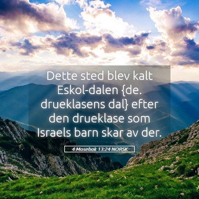 Picture 05 - 4 Mosebok 13:24 NORSK - Dette sted blev kalt Eskol-dalen {de. drueklasens - Bible Verse Picture