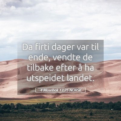 Picture 05 - 4 Mosebok 13:25 NORSK - Da firti dager var til ende, vendte de tilbake - Bible Verse Picture