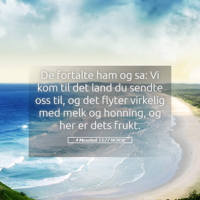Picture 05 - 4 Mosebok 13:27 NORSK - De fortalte ham og sa: Vi kom til det land du - Bible Verse Picture