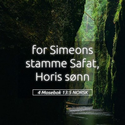 Picture 05 - 4 Mosebok 13:5 NORSK - for Simeons stamme Safat, Horis - Bible Verse Picture