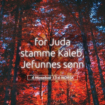 Picture 05 - 4 Mosebok 13:6 NORSK - for Juda stamme Kaleb, Jefunnes - Bible Verse Picture