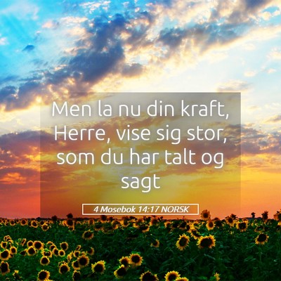 Picture 05 - 4 Mosebok 14:17 NORSK - Men la nu din kraft, Herre, vise sig stor, som du - Bible Verse Picture