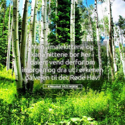Picture 05 - 4 Mosebok 14:25 NORSK - Men amalekittene og kana'nittene bor her i dalen; - Bible Verse Picture
